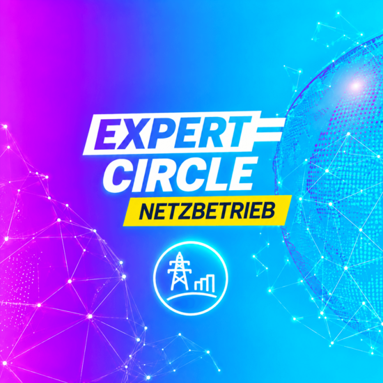 Expert Circle Energy Poster für Live Event